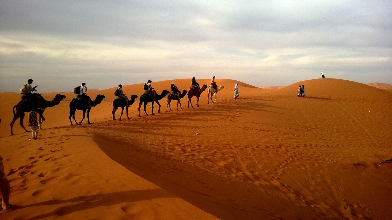 desert ecosystems for kids