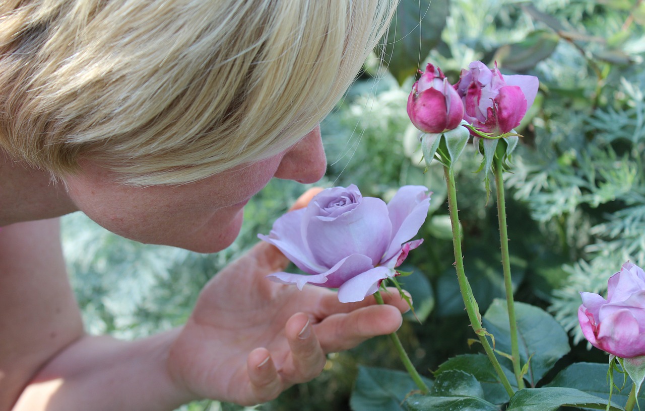 The sense of smell