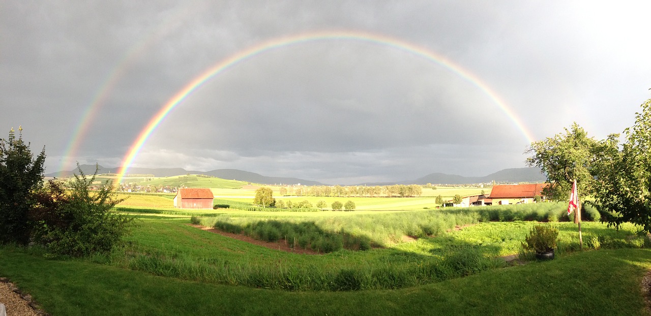 What makes a rainbow, Some color of the rainbow